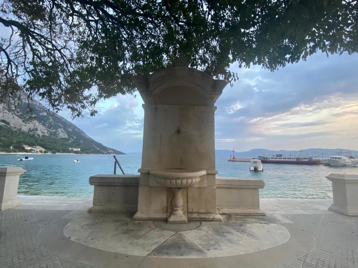Apartments Grozdana Gradac  Dış mekan fotoğraf