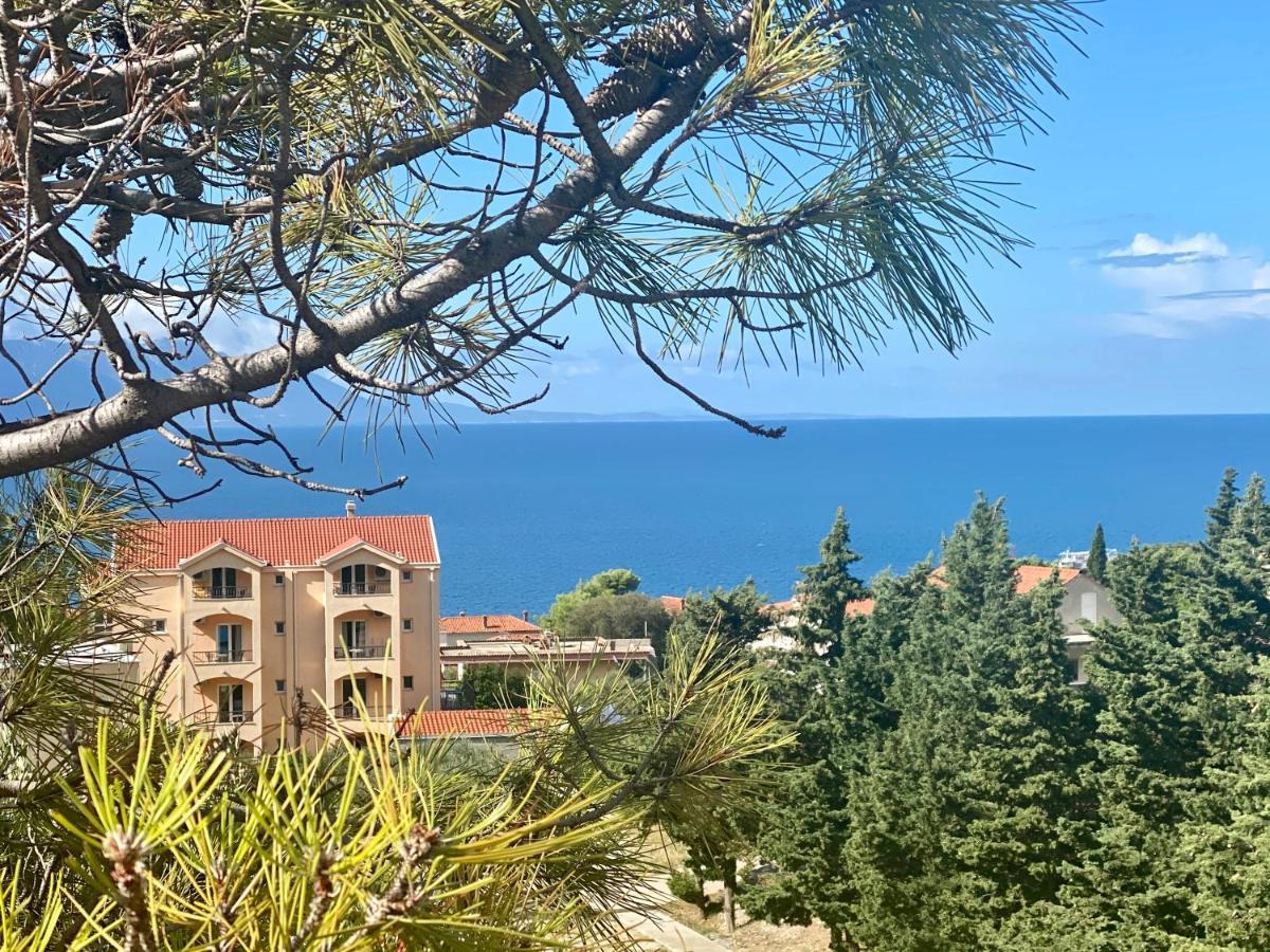 Apartments Grozdana Gradac  Dış mekan fotoğraf